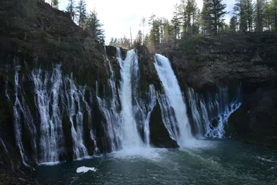 DSC_5945 (Large).JPG